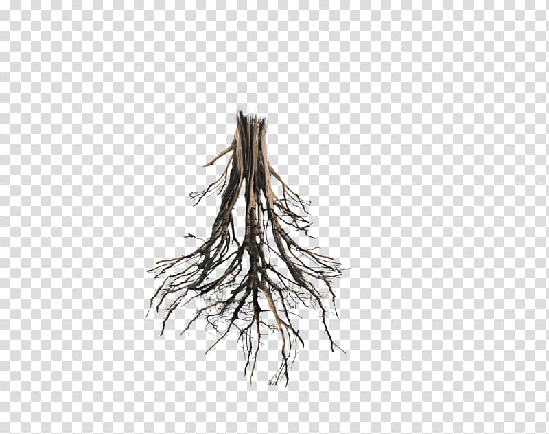 Floating Island Tree Trunk Rework Roots, brown tree bark with roots transparent background PNG clipart