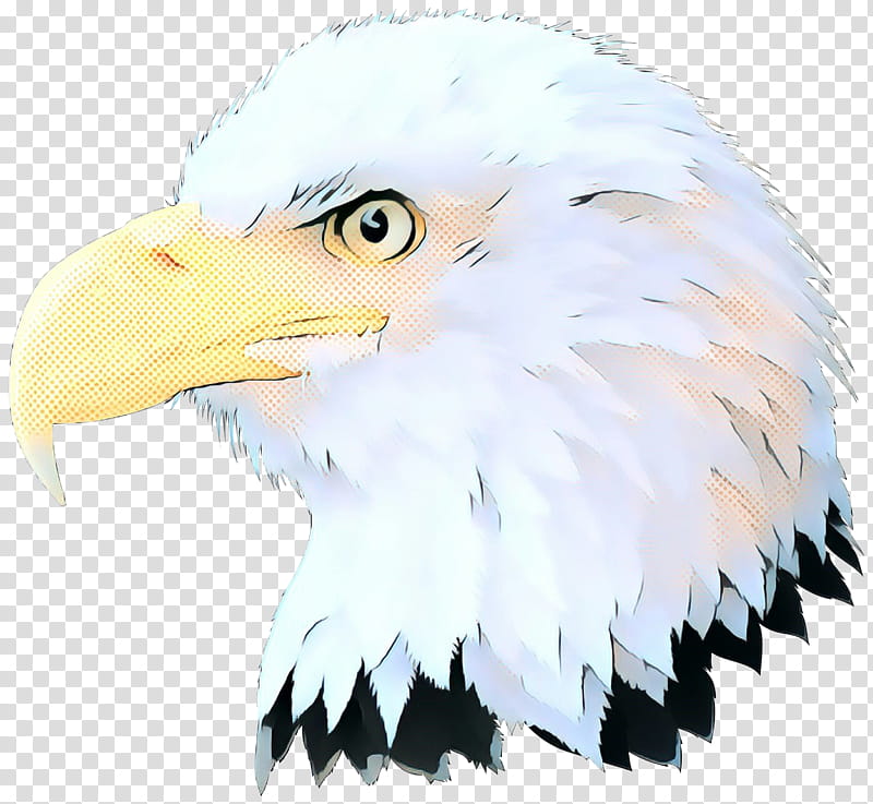 bird bald eagle bird of prey eagle beak, Pop Art, Retro, Vintage, Accipitridae, Sea Eagle, Falconiformes, Kite transparent background PNG clipart