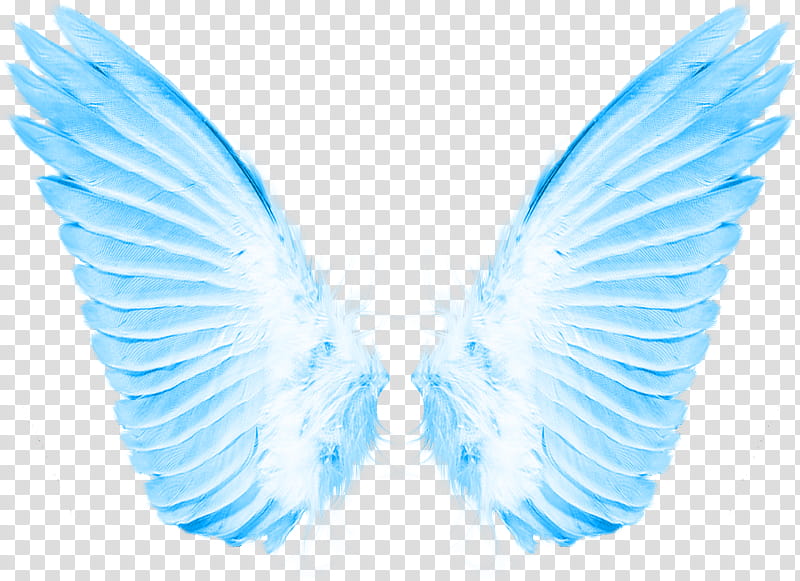 PART Material, white and blue angel wings transparent background PNG clipart