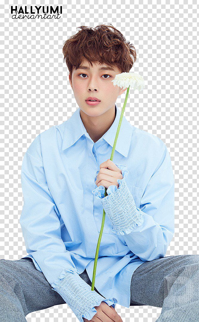 Yoo Seonho, man holding white petaled flower transparent background PNG clipart