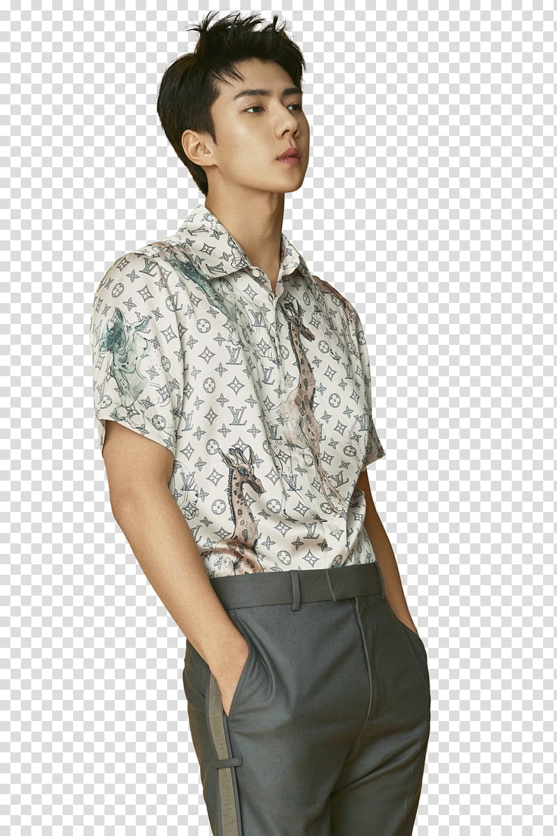 EXO SeHun L Optimum P, man wearing Louis Vuitton button-up t-shirt transparent background PNG clipart