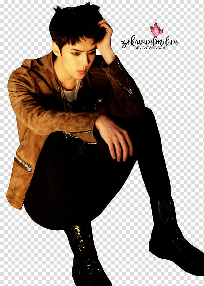 EXO Sehun LOTTO transparent background PNG clipart