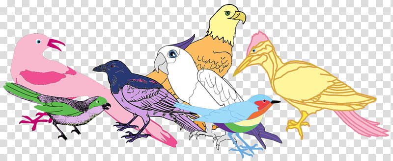 My Little Crow: Friendship Flock transparent background PNG clipart