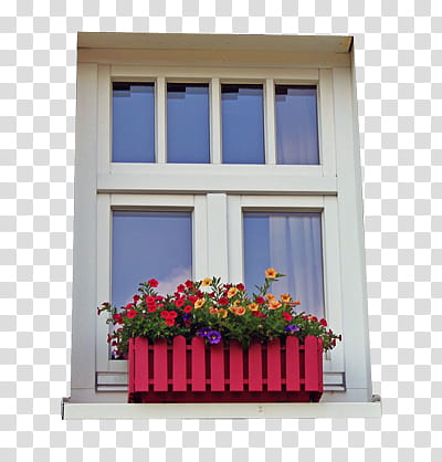 Hensgrej  Watchers , red, purple, and yellow petaled flower placed on window transparent background PNG clipart