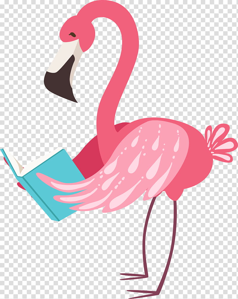 Flamingo Drawing, Book, Cartoon, Smile, Bird, Greater Flamingo, Water Bird, Pink transparent background PNG clipart