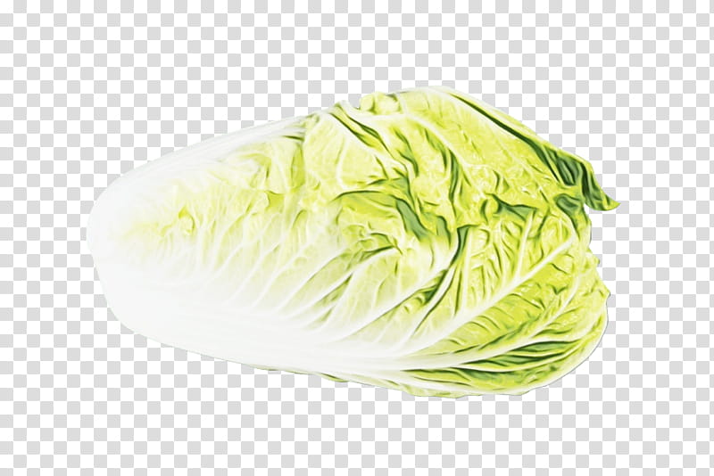 cabbage vegetable iceburg lettuce leaf vegetable wild cabbage, Watercolor, Paint, Wet Ink, Food, Plant, Side Dish, Chinese Cabbage transparent background PNG clipart