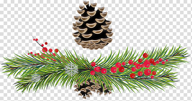 Christmas tree, Sugar Pine, Shortleaf Black Spruce, Columbian Spruce, Balsam Fir, Jack Pine, Colorado Spruce, Yellow Fir transparent background PNG clipart