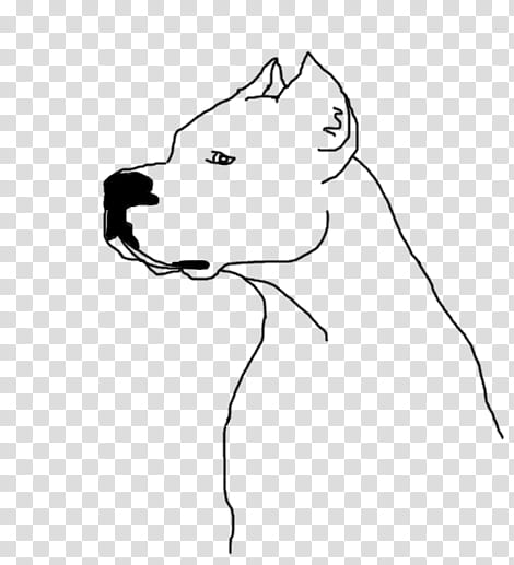 dogo argentino, white dog illustration transparent background PNG clipart