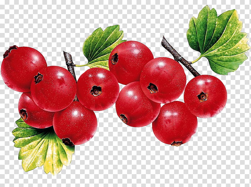 Grape, Fruit, Berries, Vegetable, Greens, Leaf, Apple, Food transparent background PNG clipart