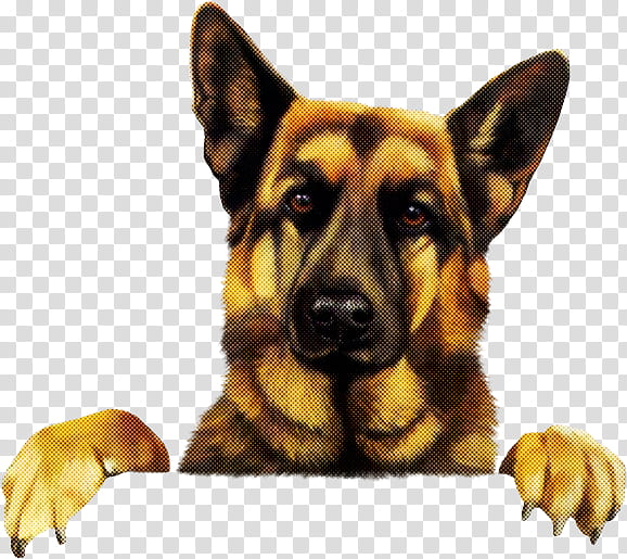 dog german shepherd dog king shepherd snout working dog, Police Dog, Cushion, Puppy, Kunming Wolfdog, Canis transparent background PNG clipart