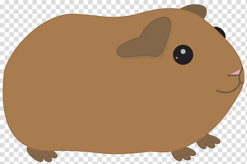 Hamster, American Guinea Pig, Cartoon, Drawing, Animal, Snout, Gerbil, Beaver transparent background PNG clipart