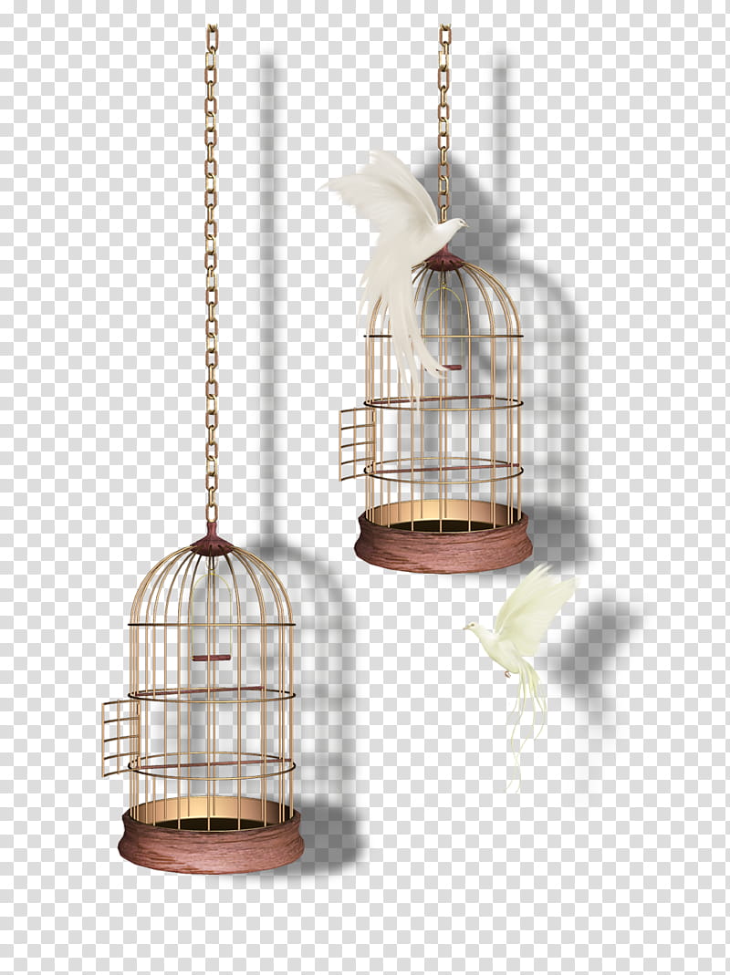 Bird Cage, Ceiling Fixture, Iron Maiden, Bird Supply, Bird Feeder, Lamp, Pet Supply transparent background PNG clipart
