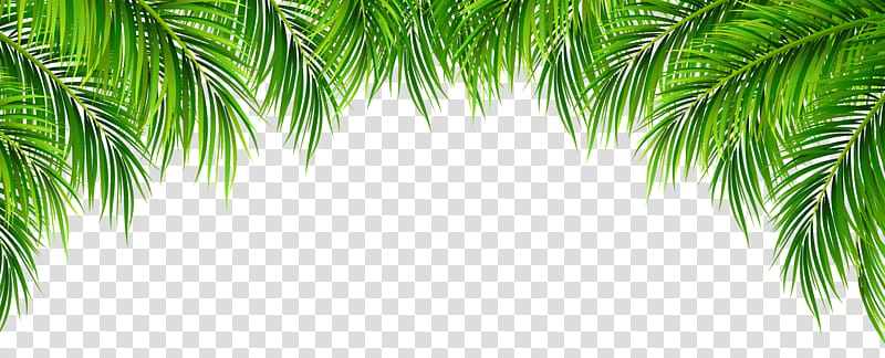 Tropical, green and yellow flower painting transparent background PNG clipart