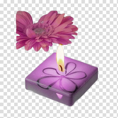 Velas Estilo Vintage, purple candle transparent background PNG clipart