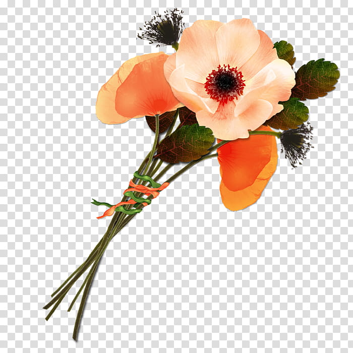 Floral Flower, Floral Design, Flower Bouquet, Cut Flowers, Painting, Editing, Petal, Orange transparent background PNG clipart
