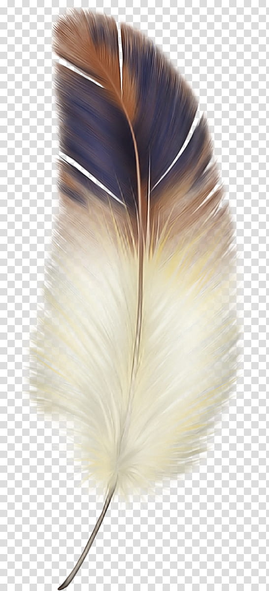 Feather, Quill, Fashion Accessory, Pen, Fur, Wing, Writing Implement, Natural Material transparent background PNG clipart