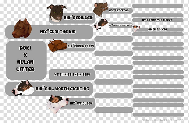 Pedigree Chart Video