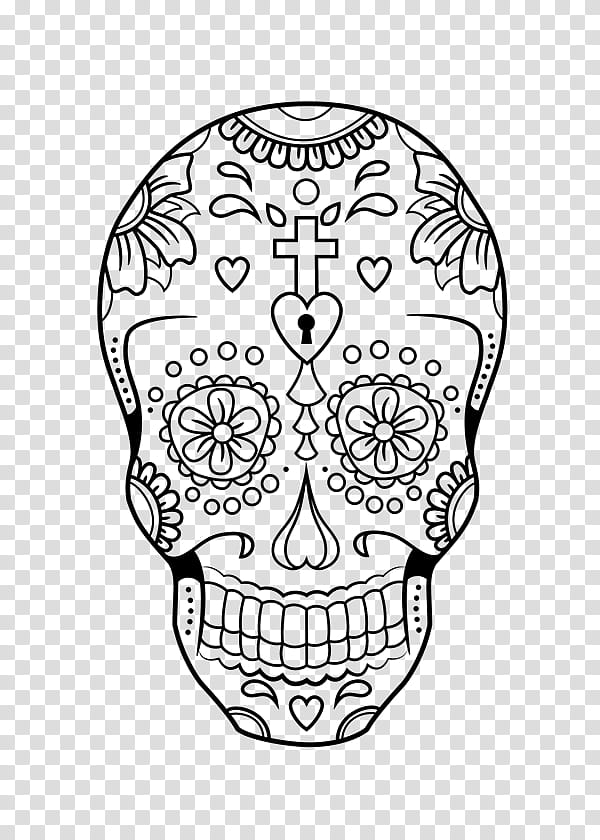 line art head coloring book bone drawing, Skull transparent background PNG clipart