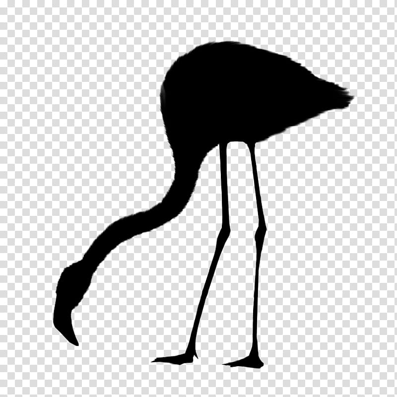 Bird Line Art, Common Ostrich, Crane, Beak, Neck, Water Bird, Silhouette, Flightless Bird transparent background PNG clipart