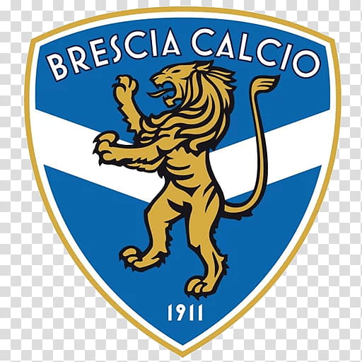 Football, Brescia Calcio, Serie B, Empoli Fc, Logo, Virtus Entella, Marco Giampaolo, Italy transparent background PNG clipart
