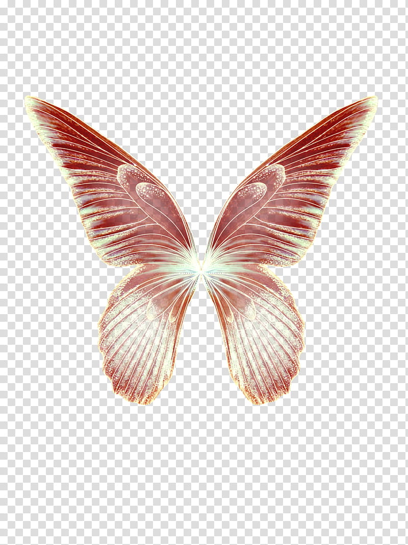 Faerie Wing s, red and white butterfly wings transparent background PNG clipart
