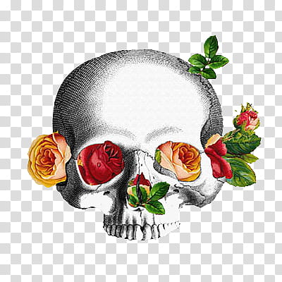 Anatomic Roses s, skull with flowers illustration transparent background PNG clipart