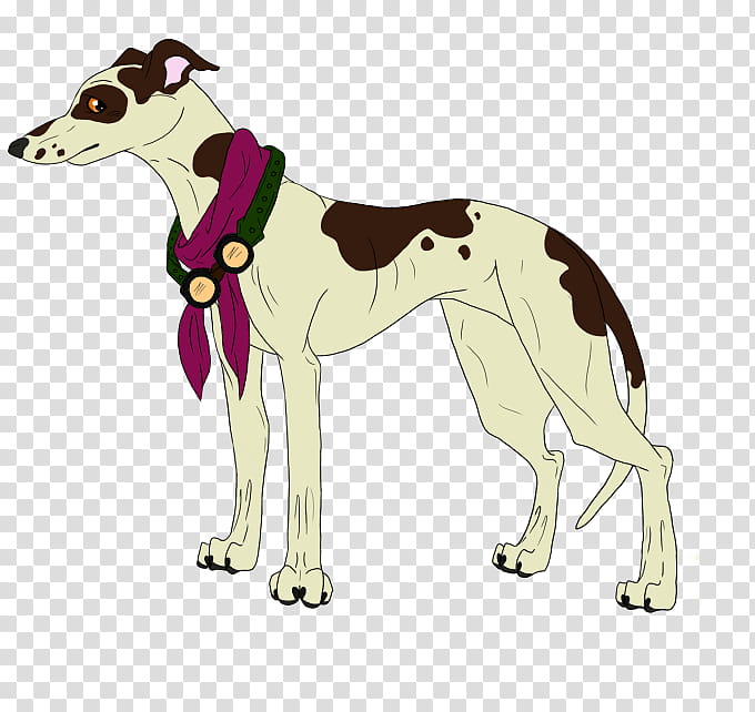 Jezebel The Whippet transparent background PNG clipart