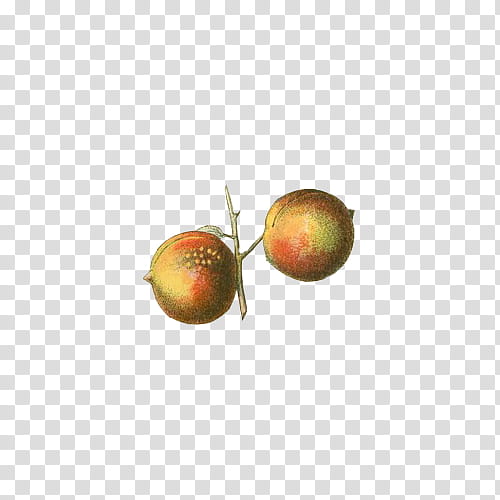 Fruit, yellow fruit transparent background PNG clipart