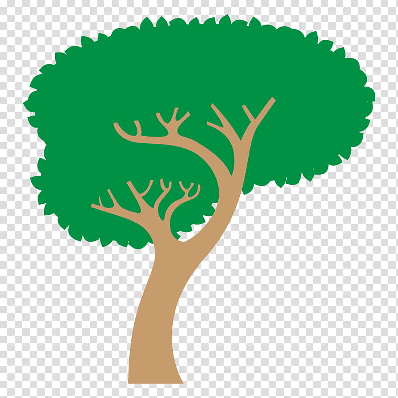 Arbor day, Broadleaf Tree, Cartoon Tree, Green, Plant, Grass, Plant Stem, Logo transparent background PNG clipart