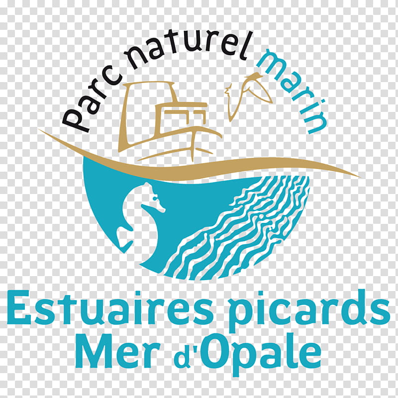 Cartoon Nature, Nature Park, Sea, Picardy, Marine Park, Coast, Conservatoire Du Littoral, Text transparent background PNG clipart