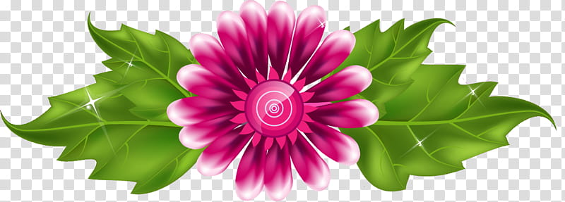 flower border flower, Flower Background, Pink, Petal, Plant, Magenta, Annual Plant, Daisy Family transparent background PNG clipart