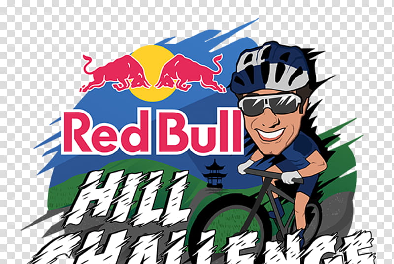 red bull xc helmet