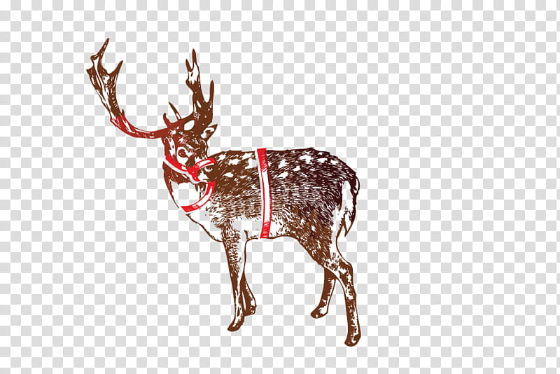 Christmas Materials , brown deer art transparent background PNG clipart