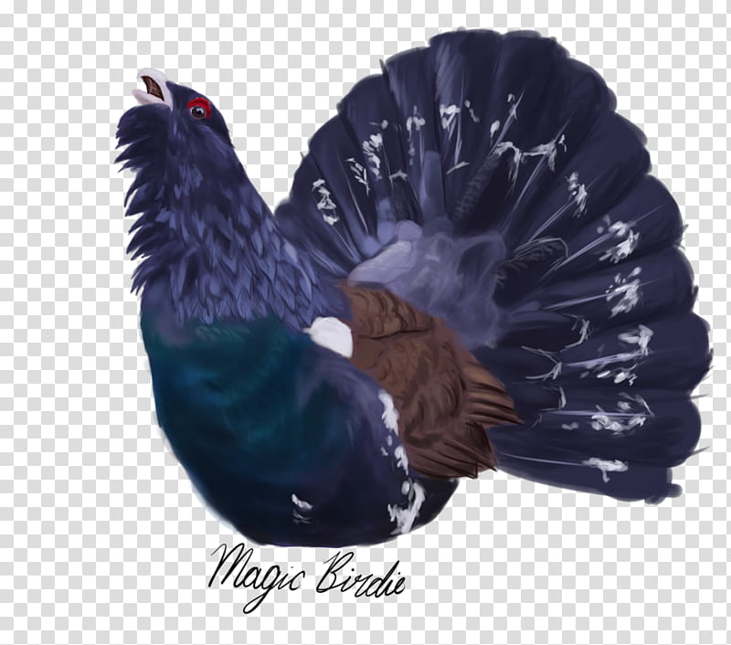 Turkey, Bird, Western Capercaillie, Feather, Chicken, Drawing, Landfowl, Black Grouse transparent background PNG clipart