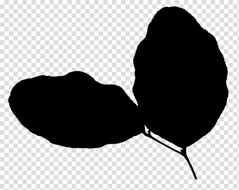 Plant Leaf, Black White M, Silhouette, Black M, Blackandwhite, Herbaceous Plant, Tulip transparent background PNG clipart