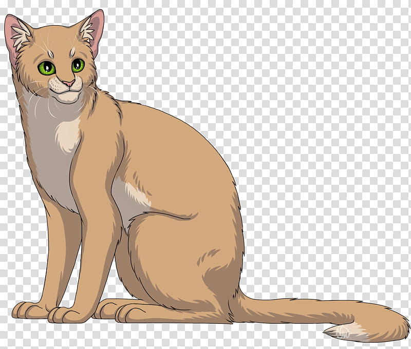 Fox Drawing, Whiskers, Cat, Wildcat, Warriors, Leafstar, Lion, Sss Warrior Cats transparent background PNG clipart