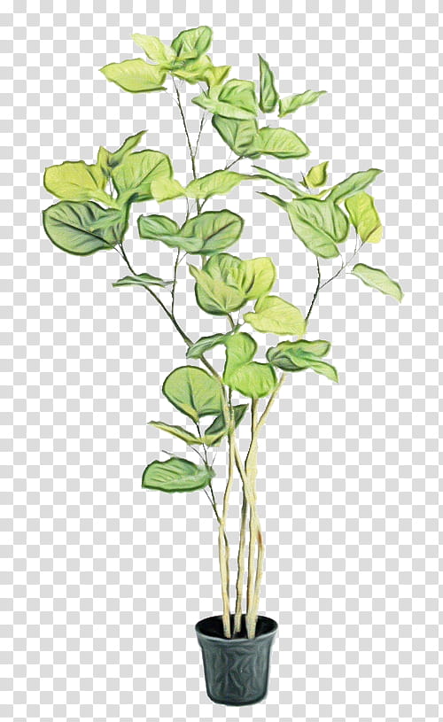 flower plant flowerpot houseplant plant stem, Watercolor, Paint, Wet Ink, Leaf, Anthurium, Branch, Mock Orange transparent background PNG clipart