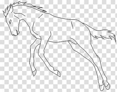 Leaping Foal, horse string art transparent background PNG clipart