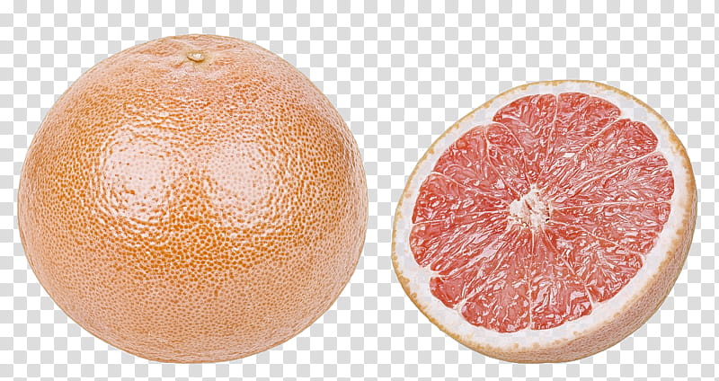 citrus grapefruit fruit food plant, Pomelo transparent background PNG clipart