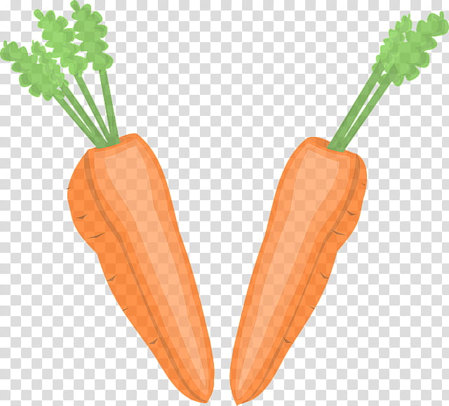 carrot root vegetable baby carrot vegetable wild carrot, Food, Plant transparent background PNG clipart