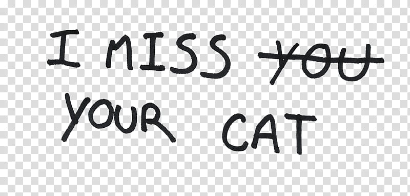 OVERLAYS, I miss your cat transparent background PNG clipart