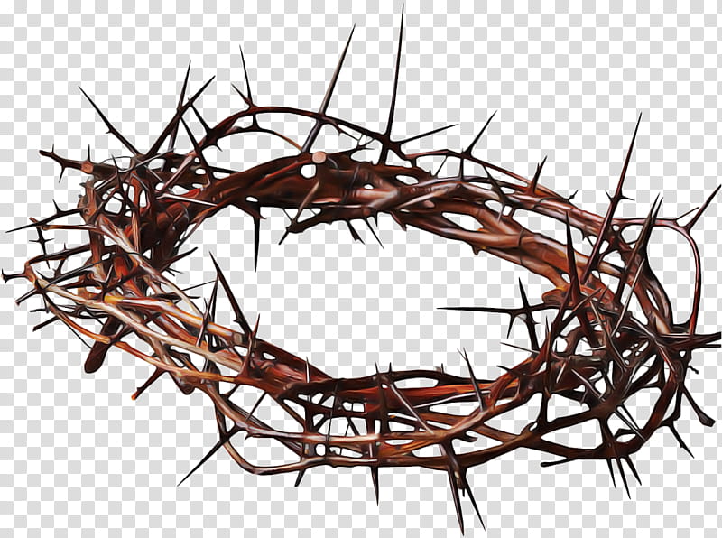 Christmas Decoration, Crown Of Thorns, Christianity, Thorns Spines And Prickles, Cross And Crown, Christian Cross, Crucifix, Twig transparent background PNG clipart