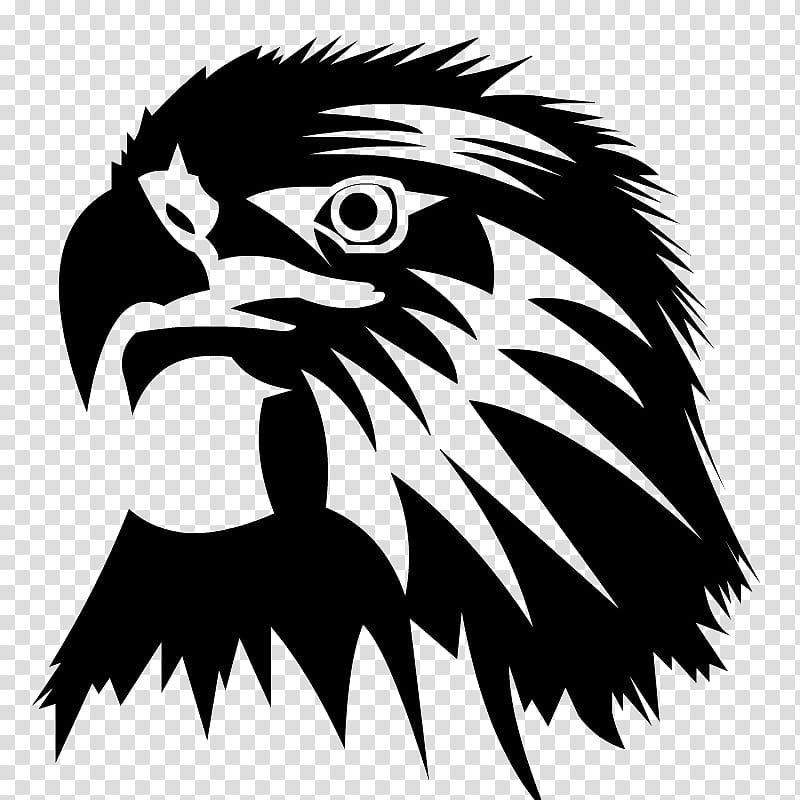 Eagle Logo, Drawing, Beak, Bird, Black And White
, Bird Of Prey, Head, Bald Eagle transparent background PNG clipart