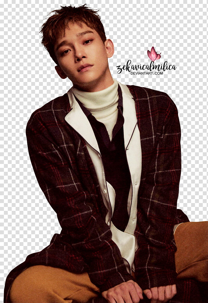 EXO Chen  Season Greetings, man wearing black and white grid blazer transparent background PNG clipart