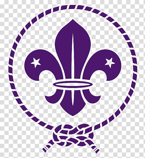 World World Organization Of The Scout Movement World Scout Emblem