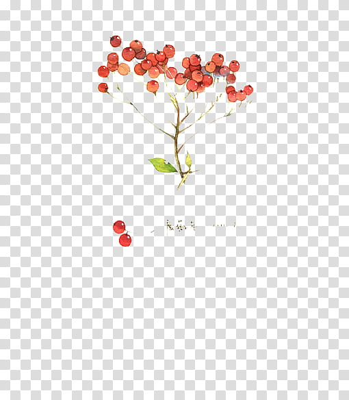 Shirley Yuwng transparent background PNG clipart