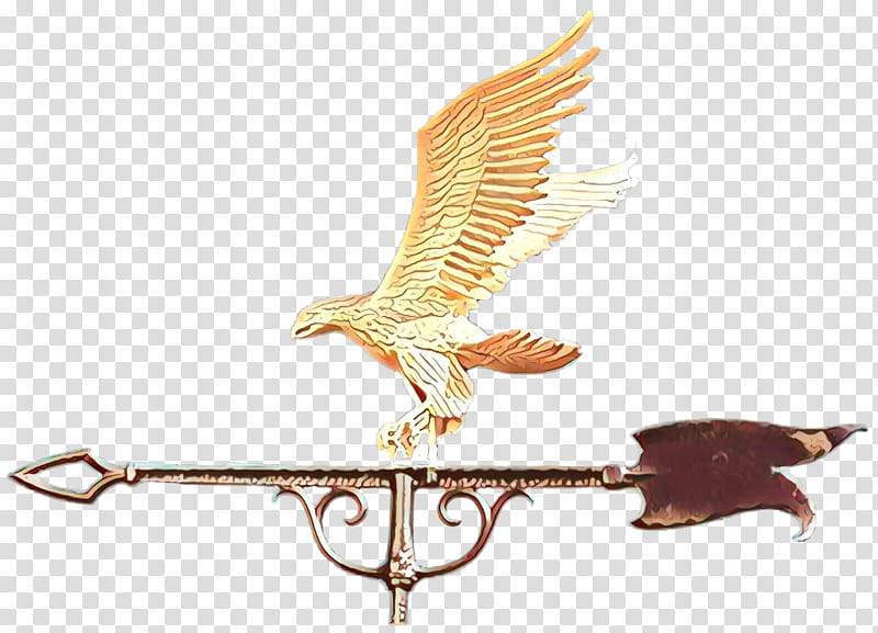 eagle wing bird bird of prey falconiformes, Cartoon transparent background PNG clipart