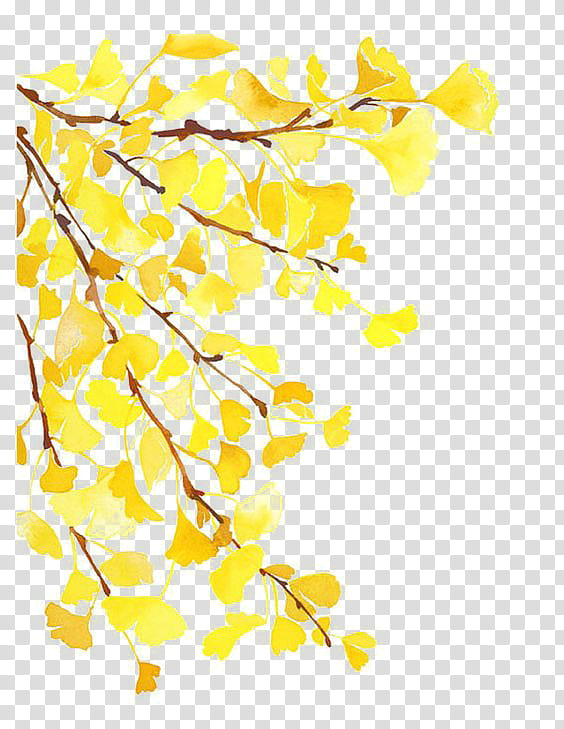 Yellow , yellow flowers border illustration transparent background PNG clipart