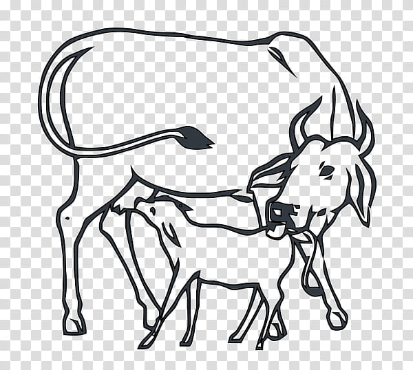 India Party, Calf, Beef Cattle, Cowcalf Operation, INDIAN NATIONAL Congress, Gyr Cattle, Brahman Cattle, Dairy Cattle, Bharatiya Janata Party, Election transparent background PNG clipart