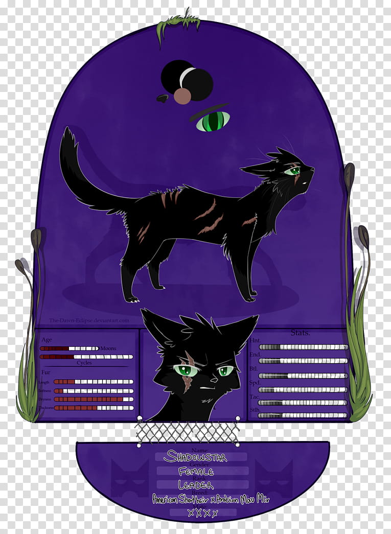 TDE | Shadowstar | Leader of ShadowClan transparent background PNG clipart